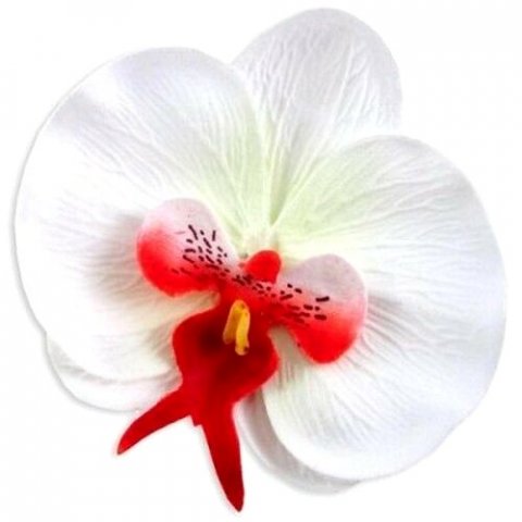 Tête orchidées blanche et rouge x 10 pièces
