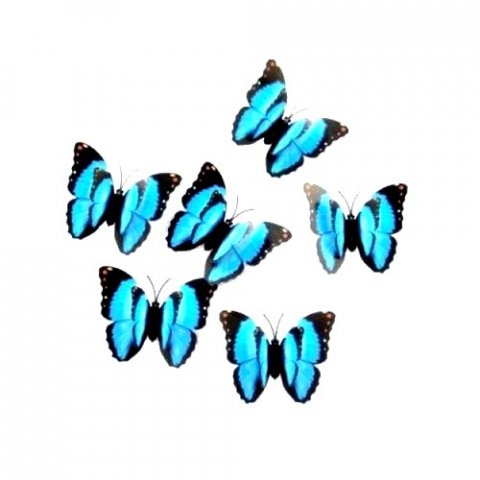 5 Papillons en format 3D de couleur bleu avec aimant